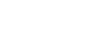 lnx logo white